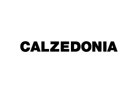 Brand logo for Calzedonia